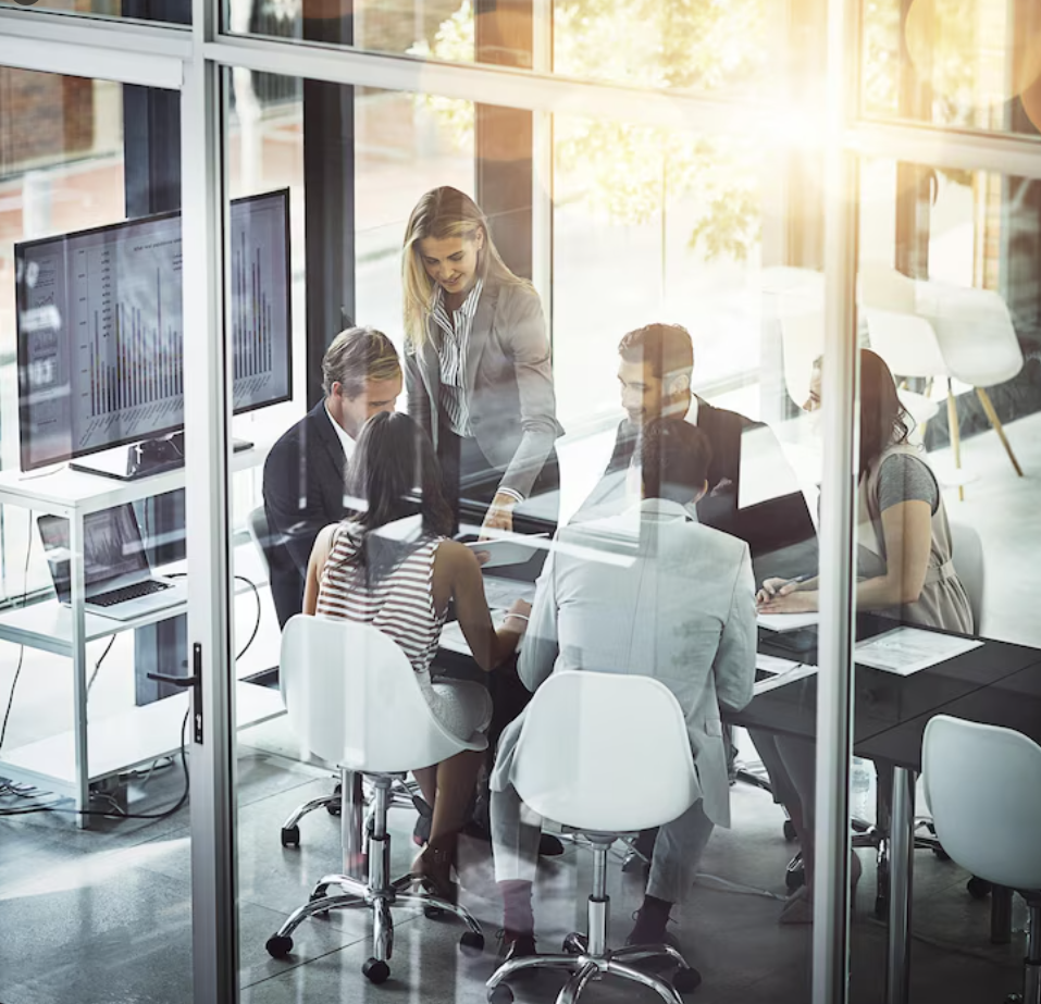 About Vertical Vision Services